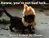Black cat - Awww, you