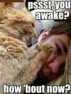 Psst, you awake? How 